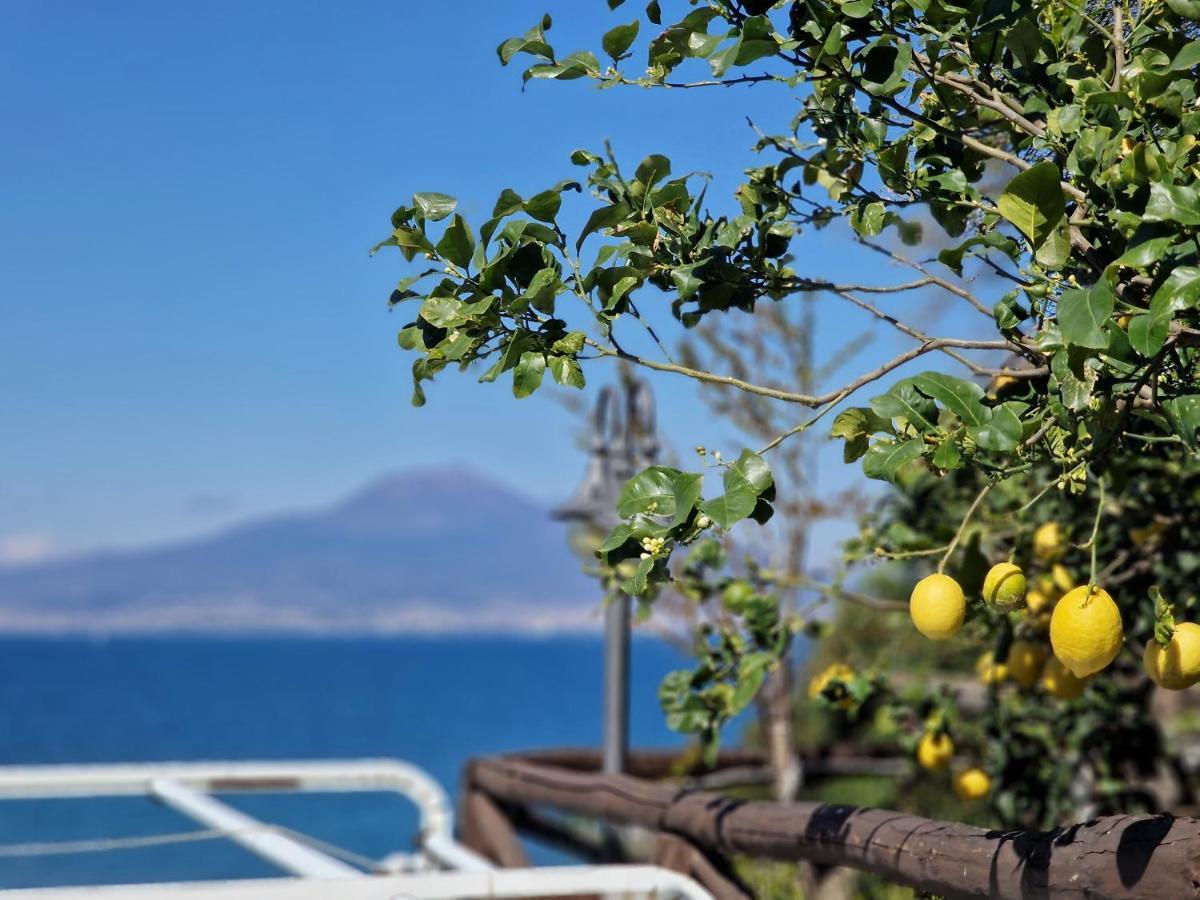 Апартаменти Vico Di Mare Віко-Екуенсе Екстер'єр фото